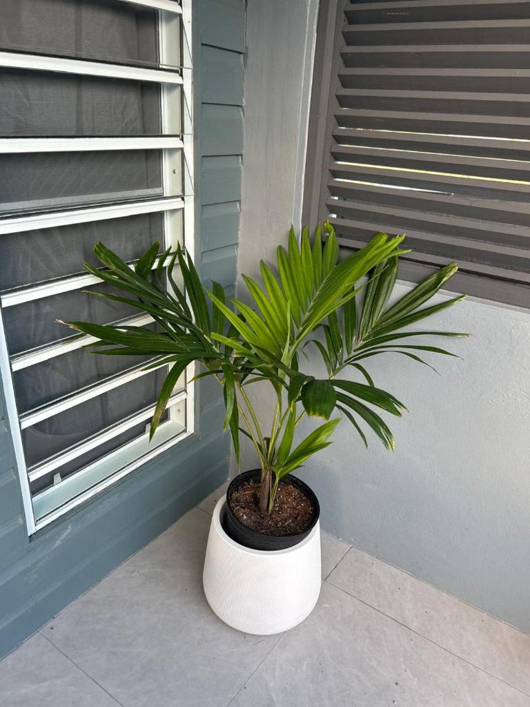 Xoop Homes - Zinnia #2 photo 1