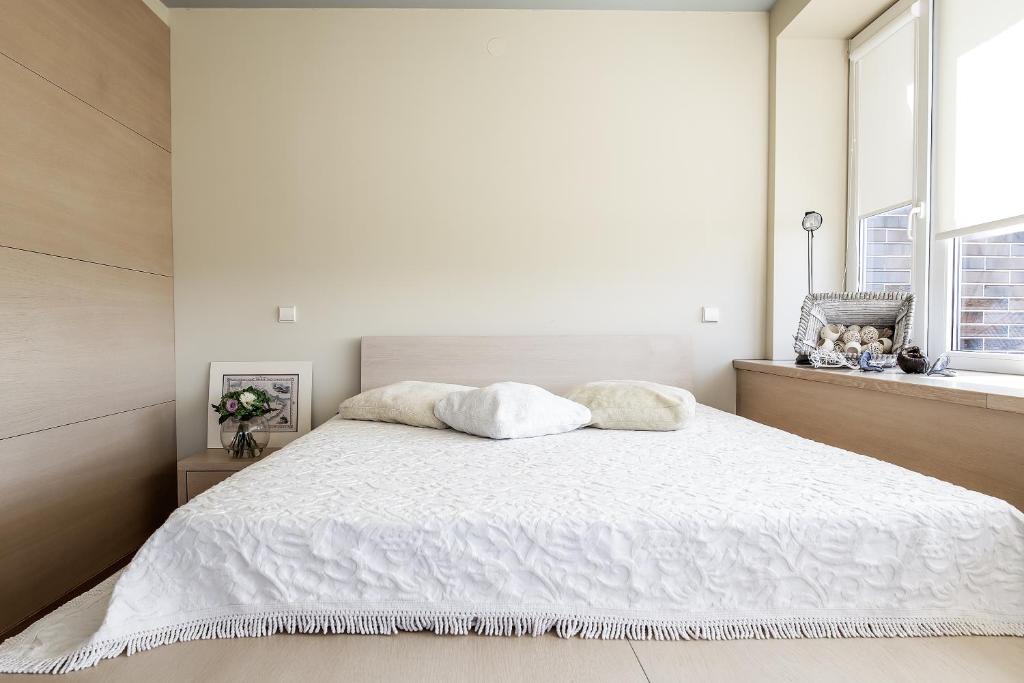 Апартаменты (Апартаменты-студио — S. Neries g. 20.), Arunes Apartments