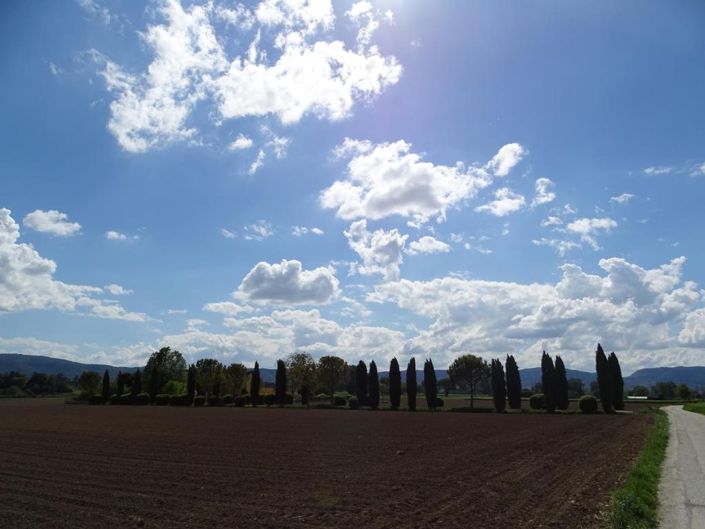 La Vecchia Stalla B&B photo 1