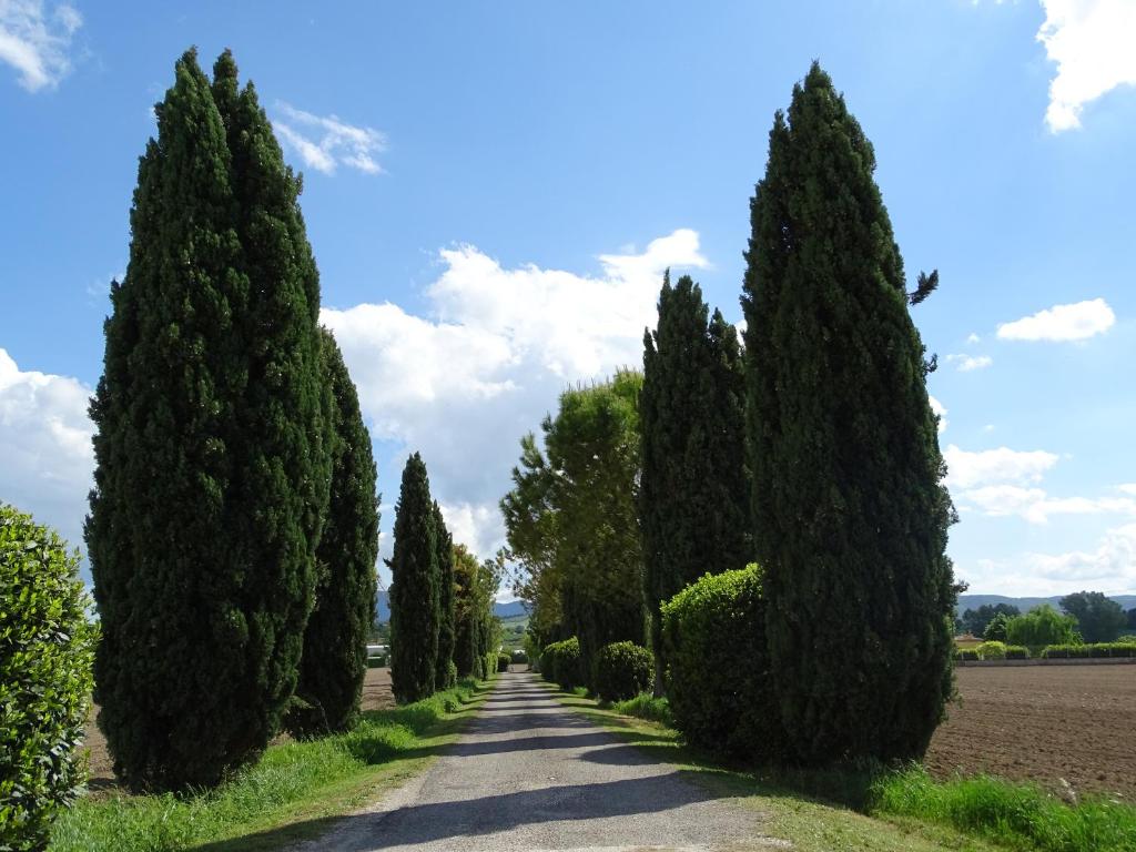 La Vecchia Stalla B&B photo 4
