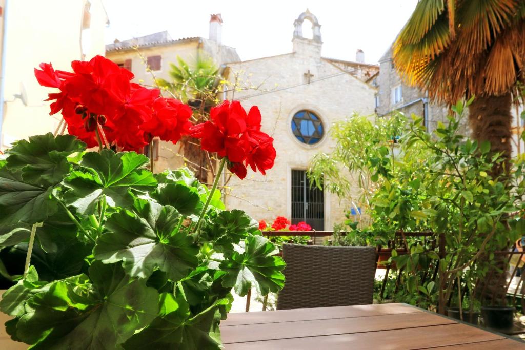 Guest House Franko photo 1