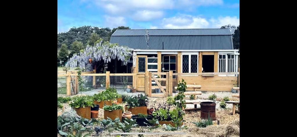 Tulip Cottage, Ballandean photo 3