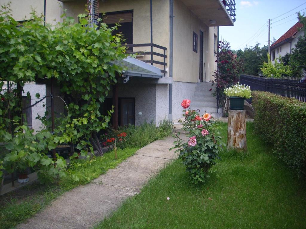 Guest House Nada photo 1