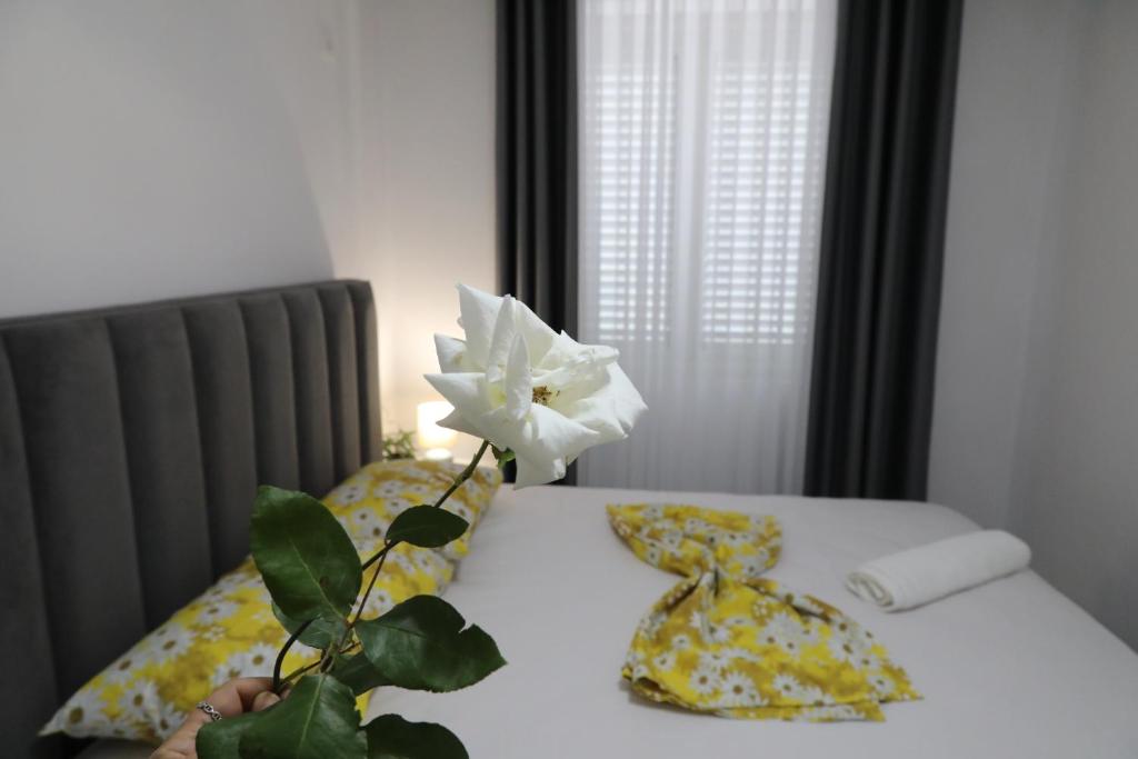Rozafa Guest Room Center photo 2