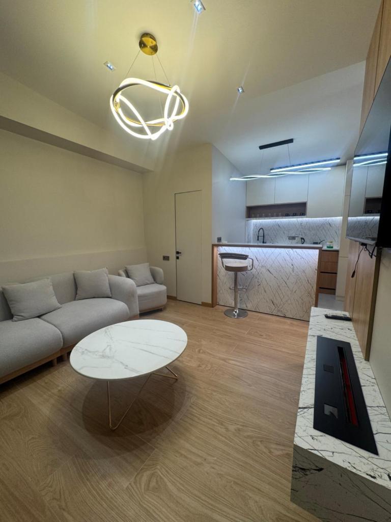 Luxury apartment in downtown 14 photo 1
