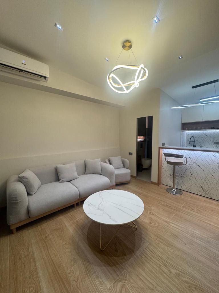 Luxury apartment in downtown 14