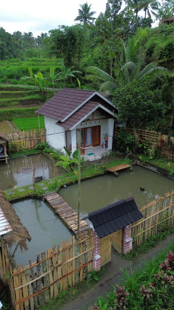 Sarang Walet Homestay Room Type - Double Room with Garden View