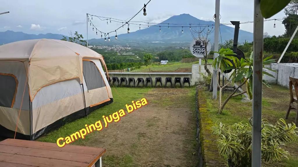 Crazy Steak Resort Glamping Villa Resto 24h photo 4