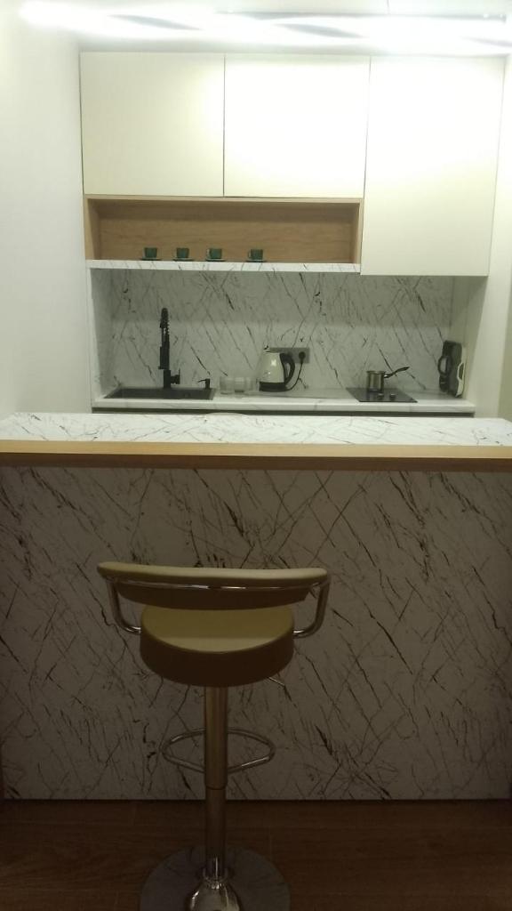 Luxury apartment in downtown 14 photo 3