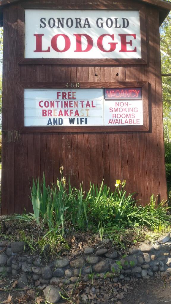The Gold Lodge photo 1