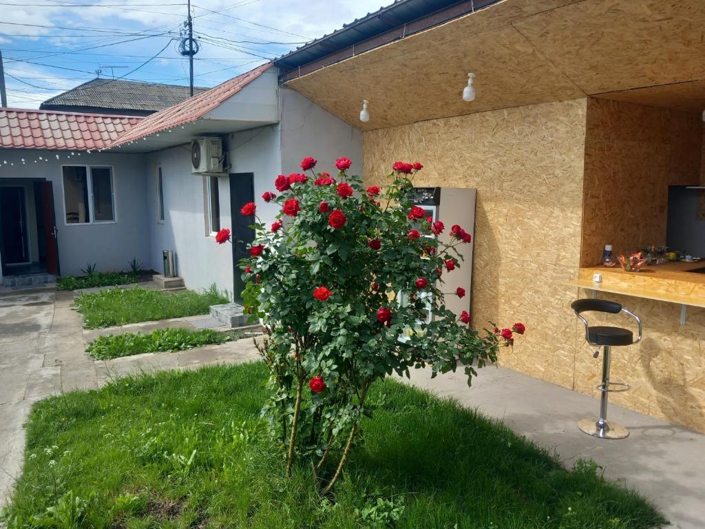 Star Zvartnoc Hotel photo 1