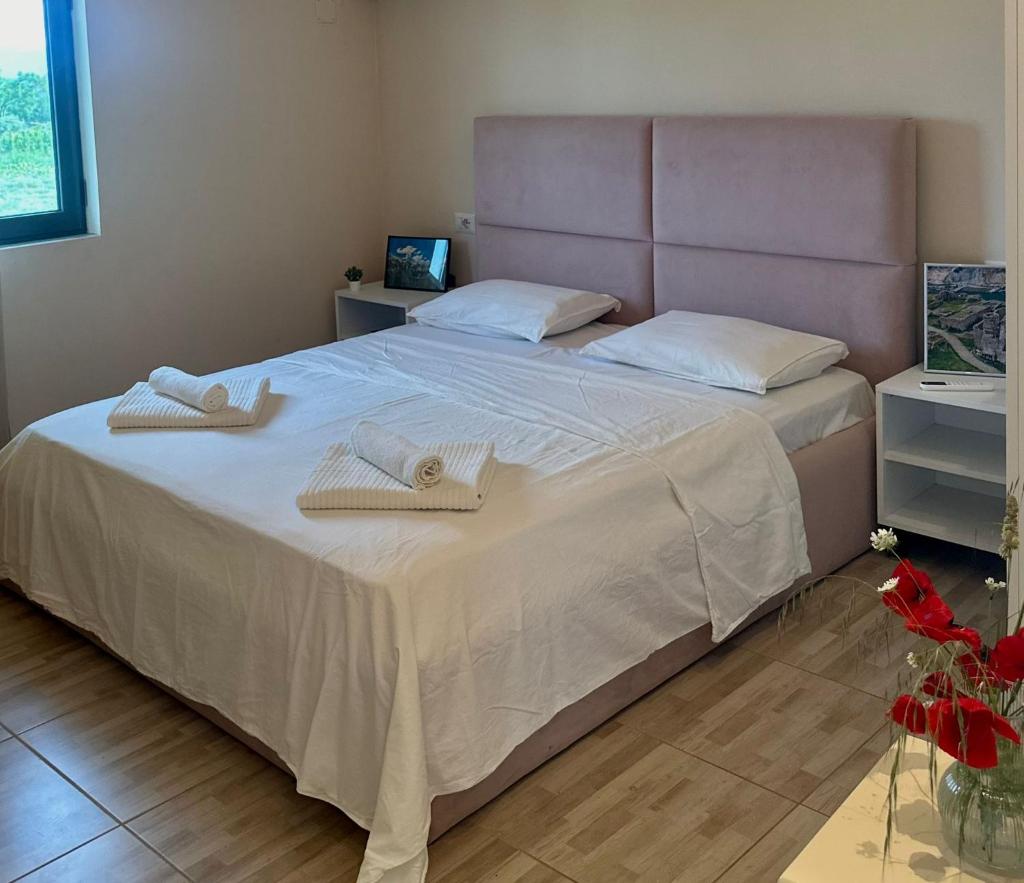 Hotel Villa Ballkan photo 1