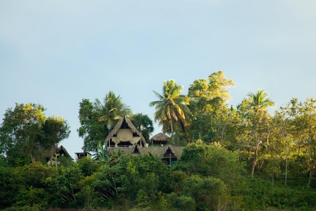 Ecolodge Tubagua Puerto Plata photo 4