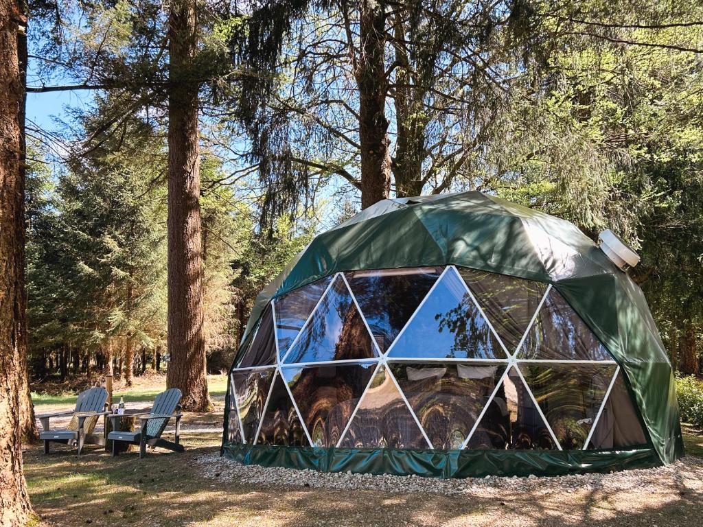 High Moor Glamping photo 1