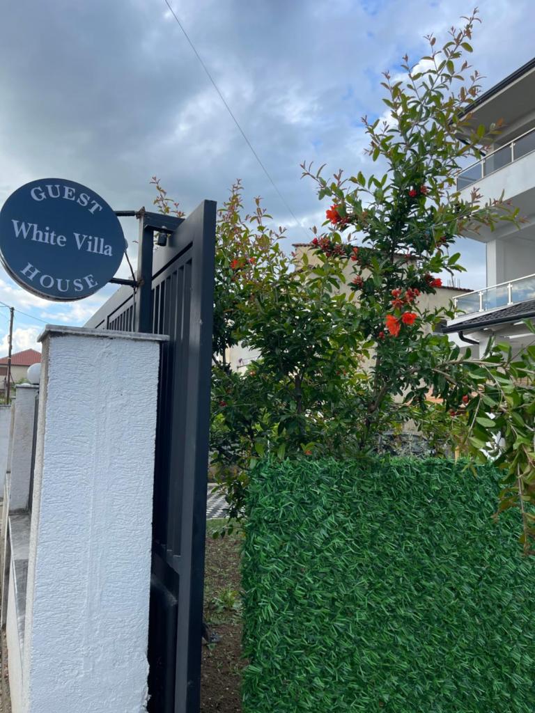 Guest House White Villa photo 1