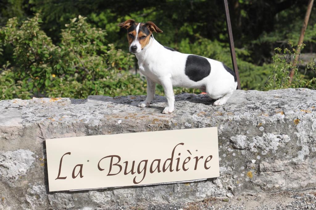 La Bugadière photo 1