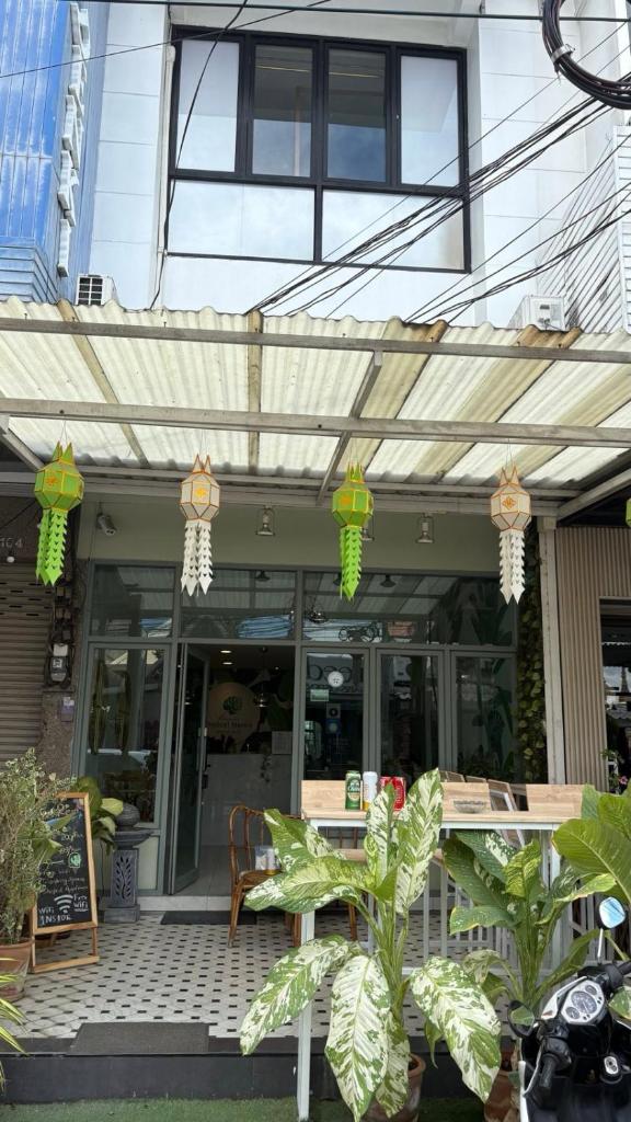 Poshtel Haven Hostel, Chiang Mai