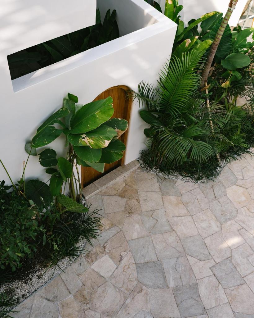 Mayiki Boutique Hotel photo 1