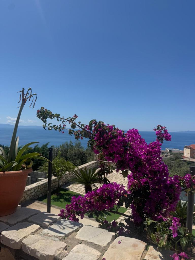 Privat Garden Villa photo 4