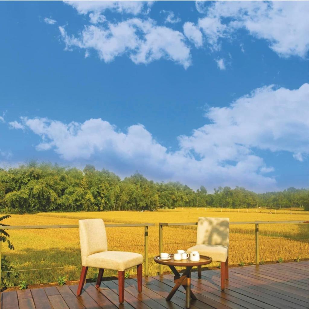 Seagull Resort & Spa Village photo 3