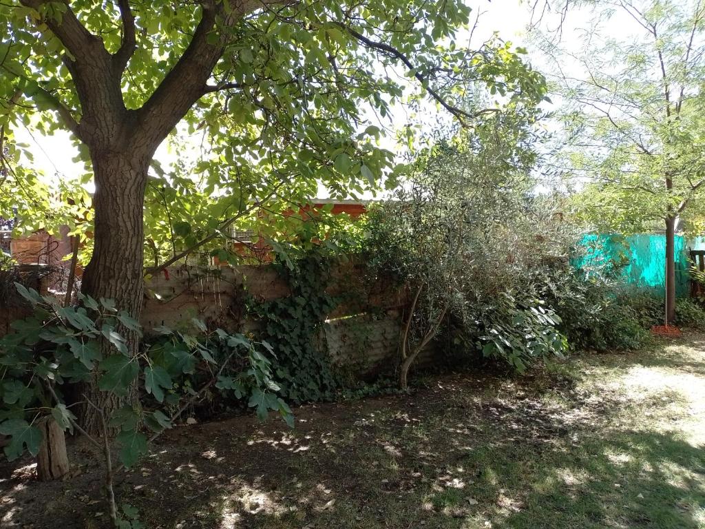Casa Lennon photo 2