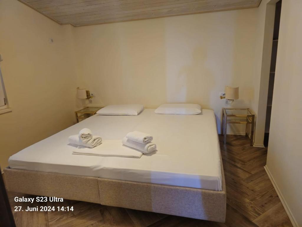 Hotel Albani photo 4