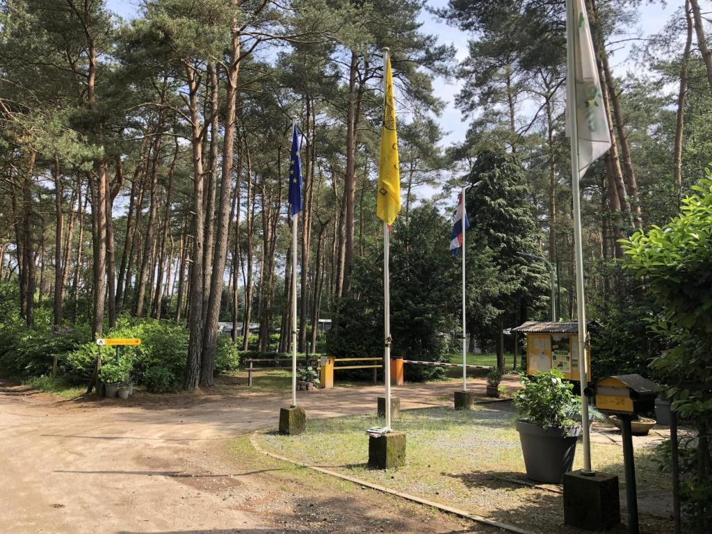 Tranquil pine forest chalet in Antwerp Kempen photo 2