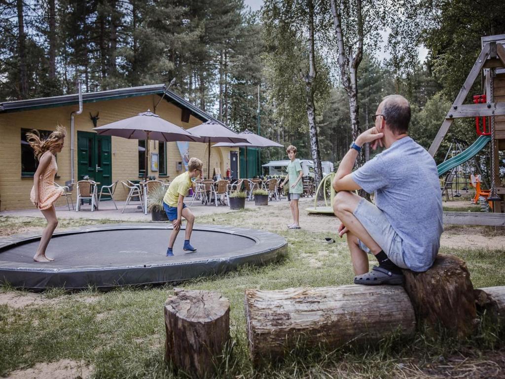 Tranquil pine forest chalet in Antwerp Kempen photo 3