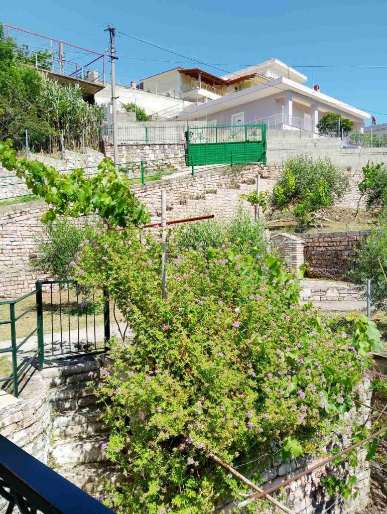 Spiros House