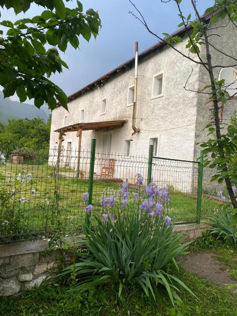 Guest House Vukaj photo 1