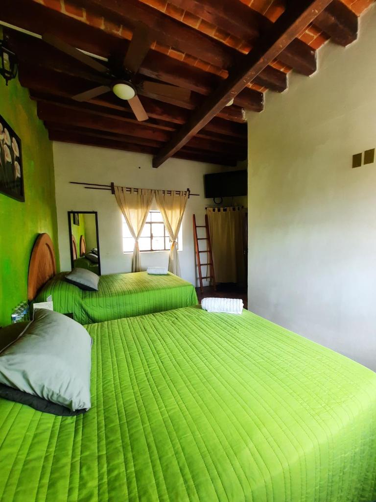 Casa Gardenia Hotel, Tecozautla