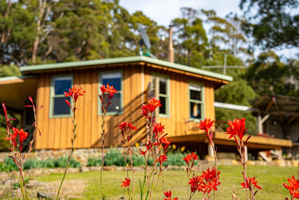 Mavista Cottage photo 4