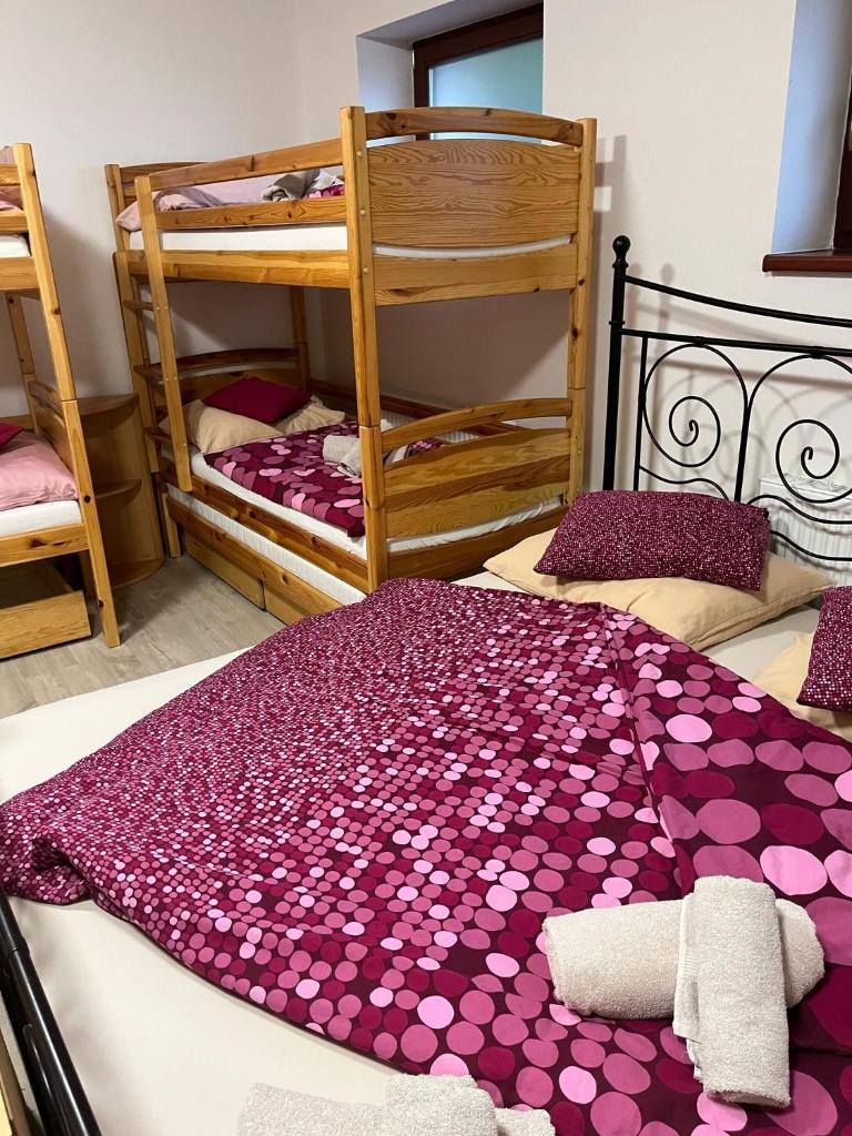 Hotel Zlechov Room Type - Standard Family Room