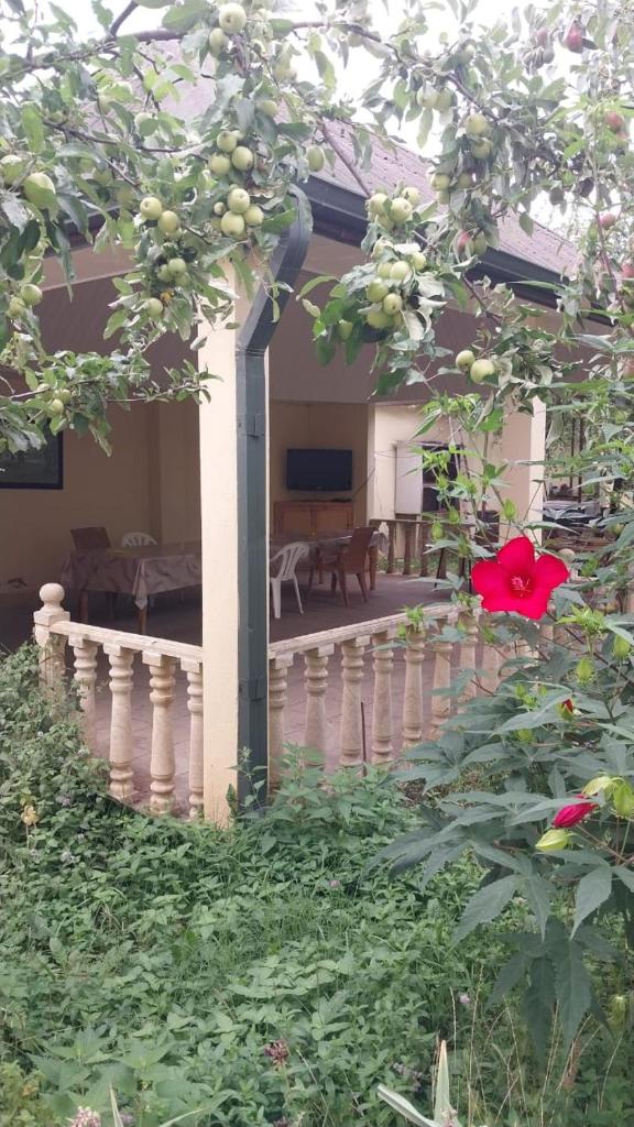Qecres Bag Evi Villa