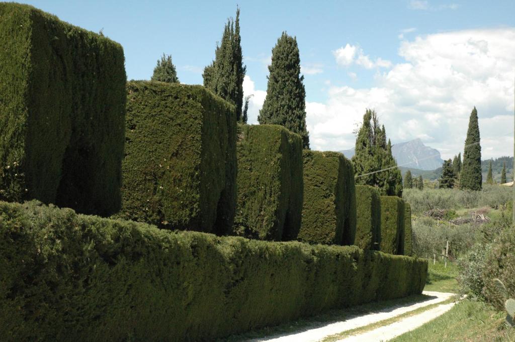 Agriturismo Tenuta la Pergola photo 1