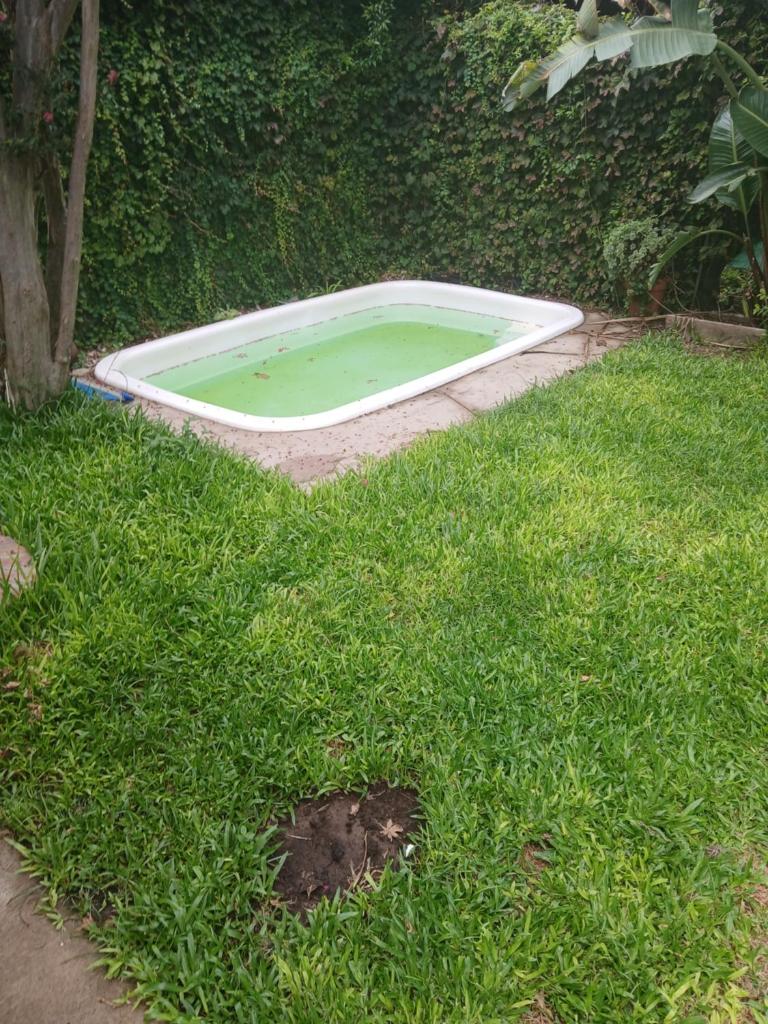 Casa San Isidro photo 2