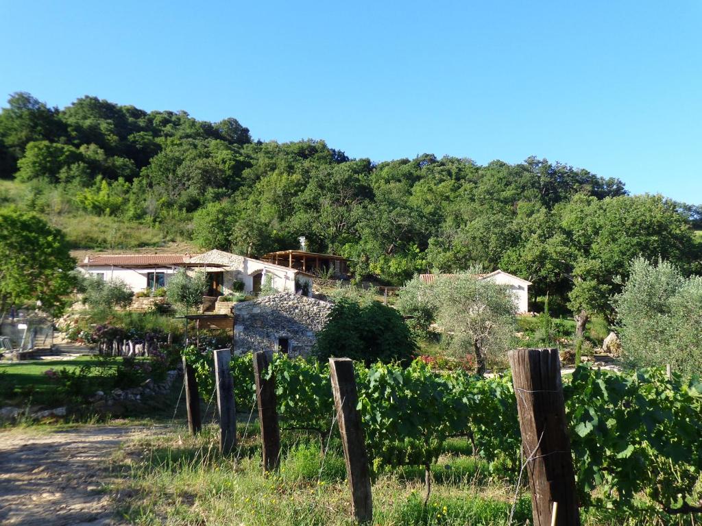 Agriturismo Fontenuova photo 3