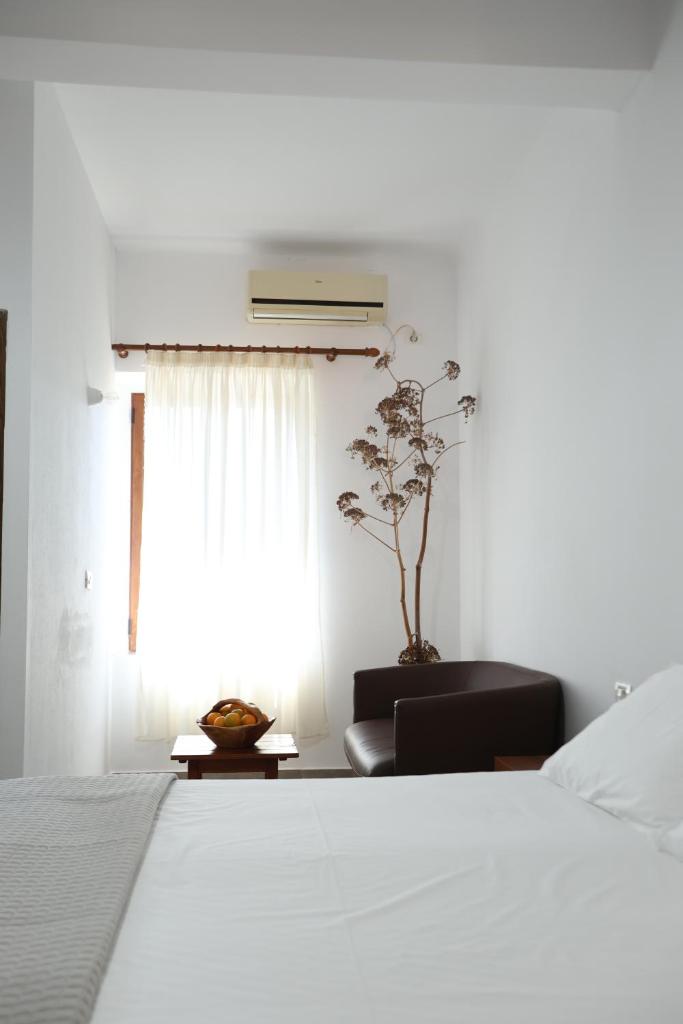 Te Rrapi Rooms
