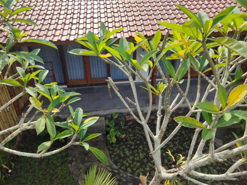 Meera house and stay photo 1