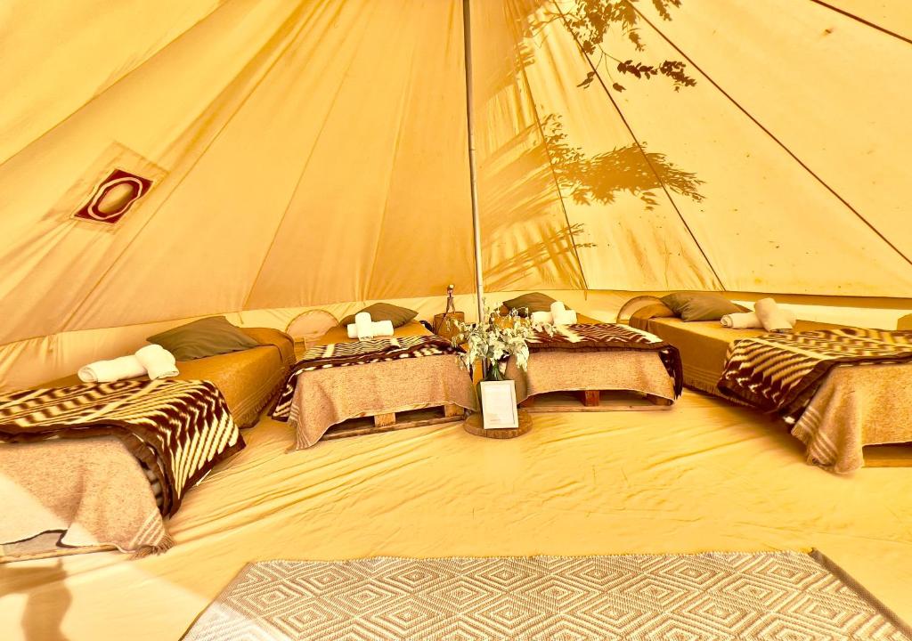 REFUGIO Natural Glamping photo 4