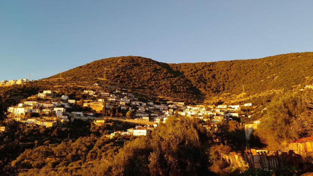 Shkolla Hostel & Camping photo 2