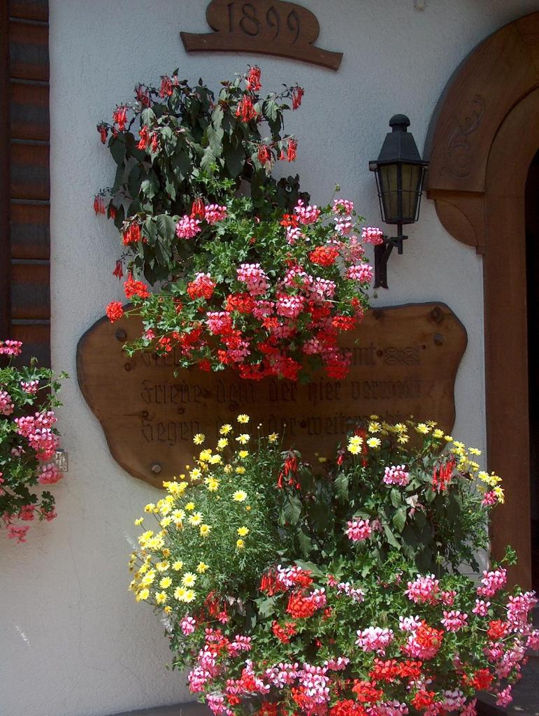Hotel Gletschergarten photo 3