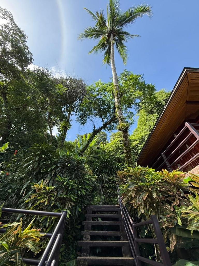 Baan Krating Khao Lak Resort - Tap to explore photos