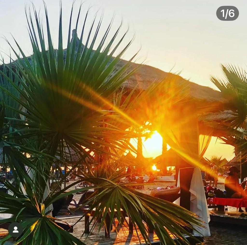 Cozy Nest by the Sea photo 2