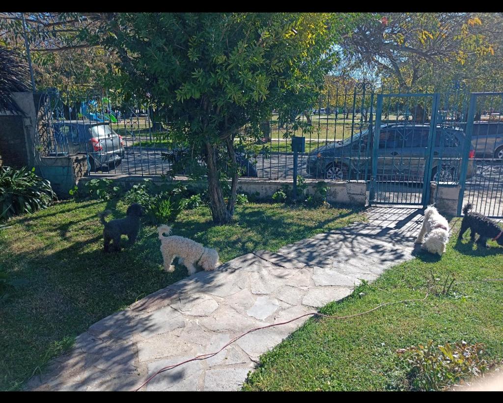 La casita de Hugo photo 2