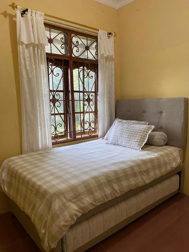 'Nanini Backyard' Home Stay photo 3