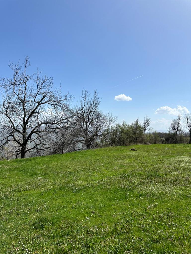 Camping Site Kerrnaje