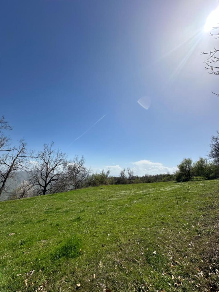 Camping Site Kerrnaje photo 2