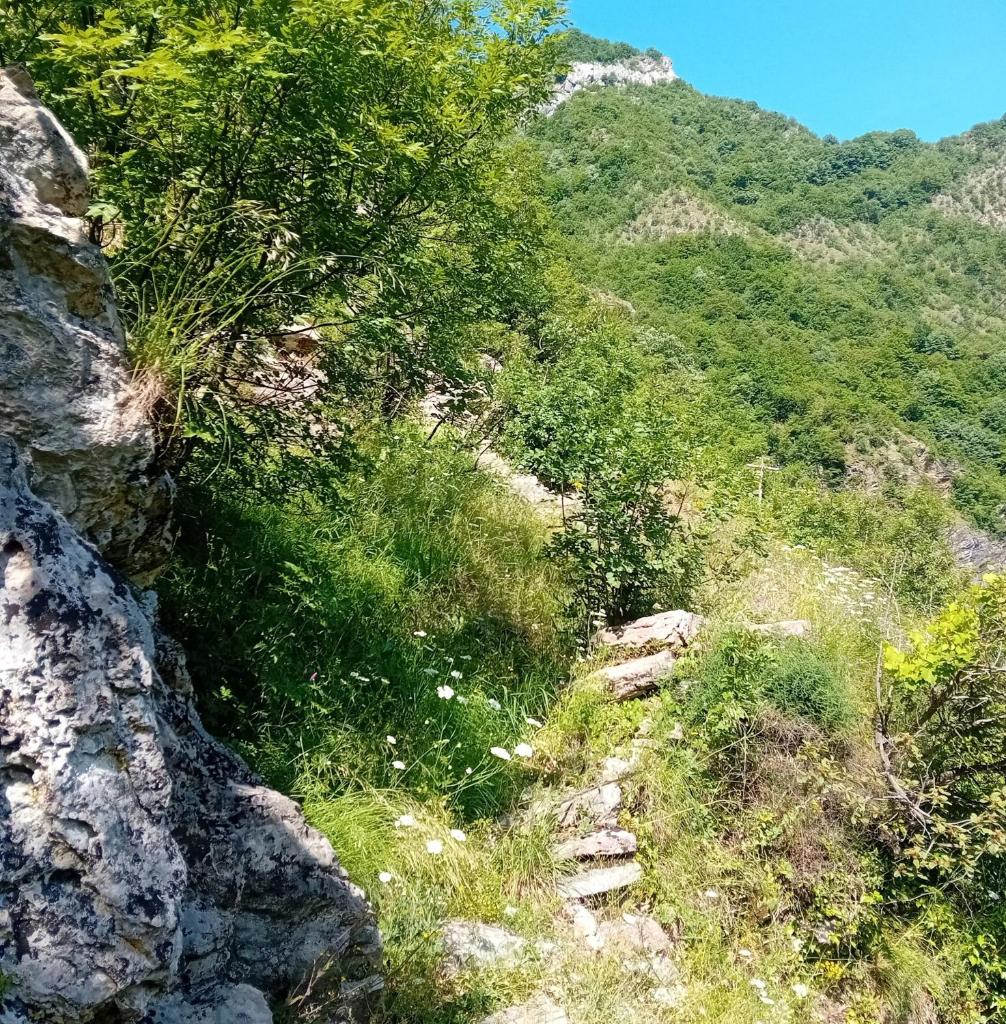 Norral shelter 1 photo 2