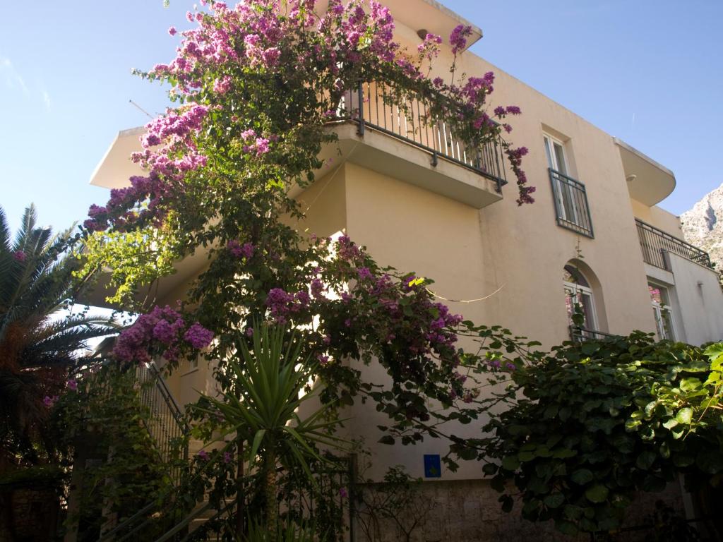 Apartments Marino photo 2